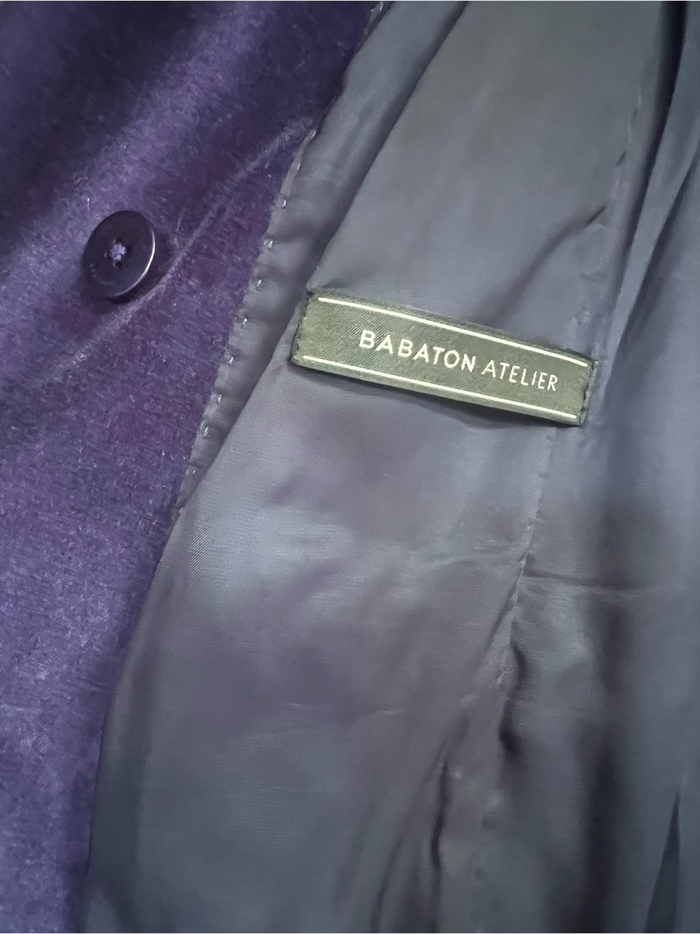 Aritzia Babaton Velvet Double-Breasted Blazer AND Trousers SET (Size 4 & 6) - Picture 6 of 9